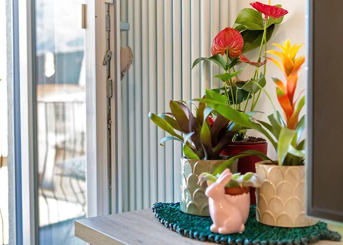 Apartament Emmie House Centro *